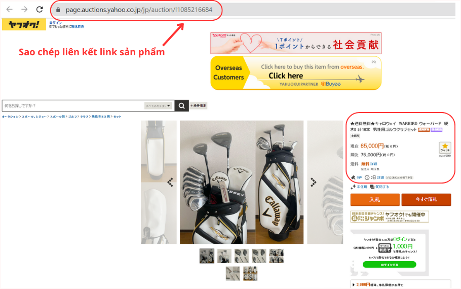 Mua đấu giá gậy Golf Nhật