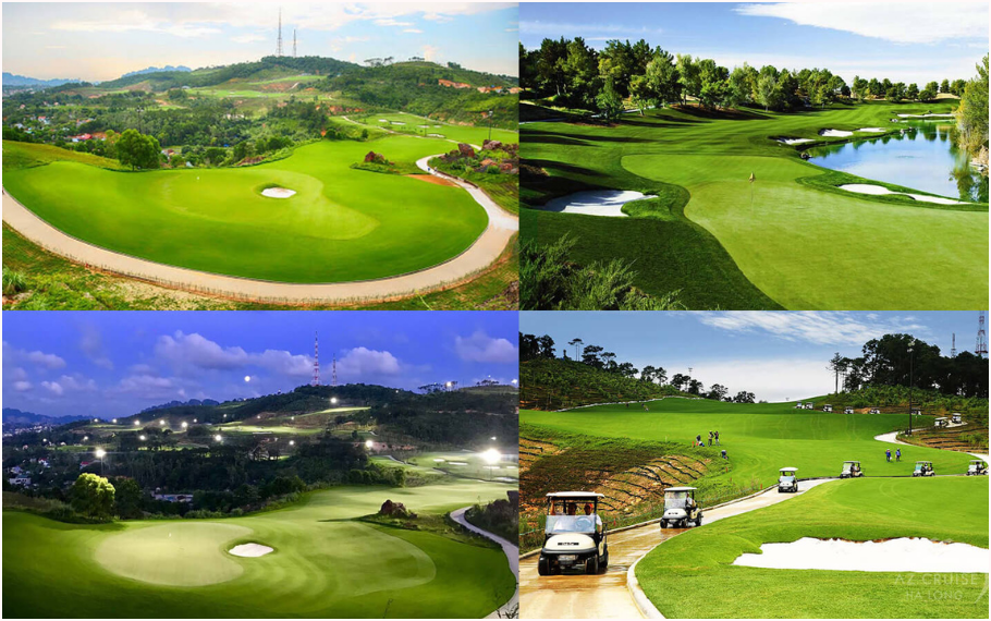 Mua đấu giá gậy Golf Nhật